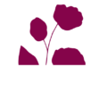 Gästehaus Riffel